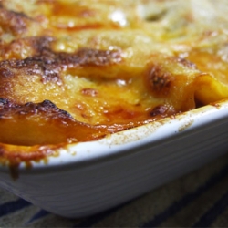 Lasagne