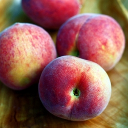 Pesche