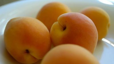 Ricette di Albicocche