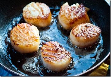 Ricette di Capesante