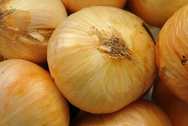 Ricette di Cipolla