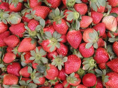 Ricette di Fragole
