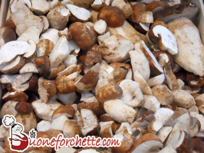 Ricette di Funghi