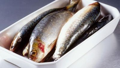 Ricette di Sardine