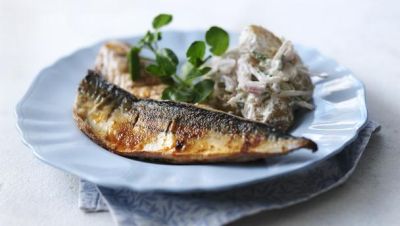 Ricette di Sgombro