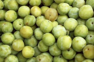 Ricette di Susine