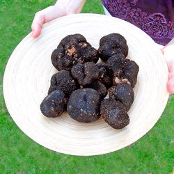 Ricette di Tartufo