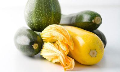 Ricette di Zucchine