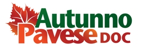 Ricetta Autunno Pavese DOC