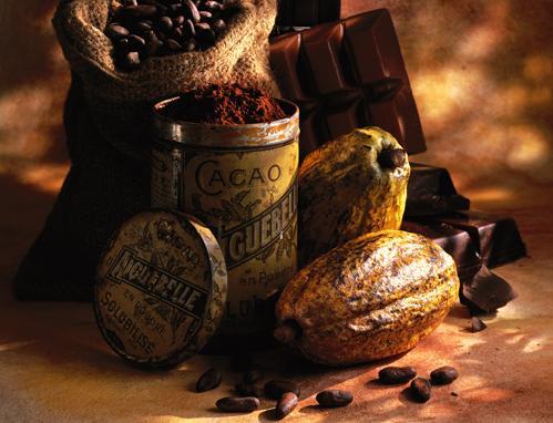 Ricetta CHOCODAY: Il 12 OTTOBRE 2011 SI CELEBRA IL CIOCCOLATO BUONO