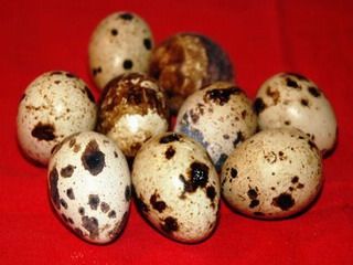 Ricetta Bocconcini con uova di quaglia