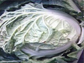 Ricetta Germogli di soia agli spaghettini cinesi
