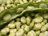 Ricetta Insalata di fave, taccole e fagiolini corallo