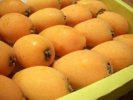 Ricetta Liquore di nespole