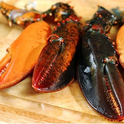 Ricetta Aragosta al pernod
