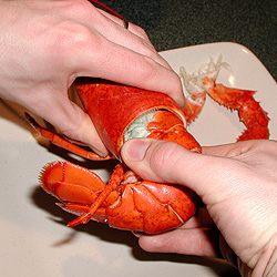 Ricetta Aragosta alla messicana