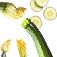 Ricetta Insalata di zucchine