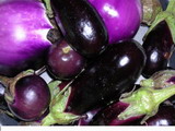 Ricetta Polpette di melanzane pugliesi