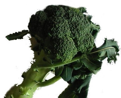Ricetta Broccoletti all’acciuga
