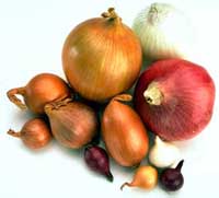 Ricetta Salsa all’erba cipollina