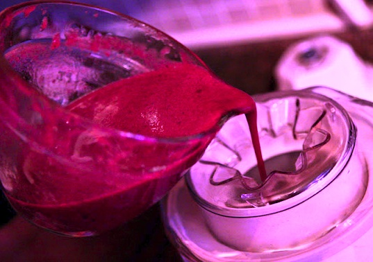 Ricetta Sorbetto di prugne