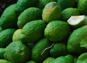 Ricetta Spremuta di cedro allo zucchero
