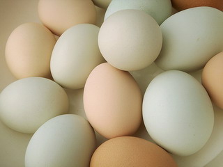 Ricetta Uova sode con cipolle