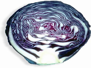 Ricetta Cavolo rosso e yogurth