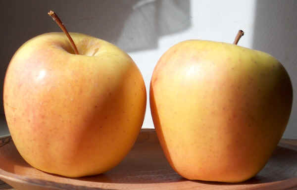 Ricetta Mele infornate
