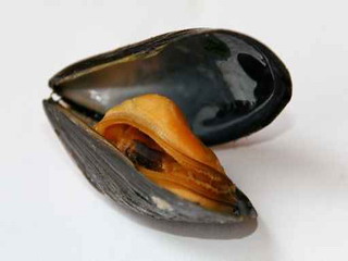 Ricetta Cozze ripiene