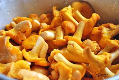 Ricetta Funghi misti sott’olio
